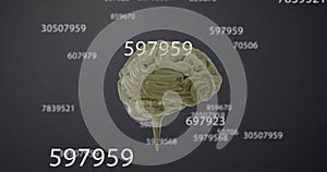 Image of human brain and numbers data processing on grey background