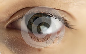 image of a human eye of a teenager with gray-green pigment, horizontal