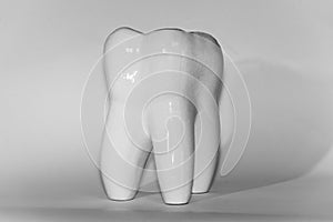 Image of human molar tooth on white background for texture and logo