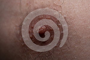 Image of the human`s nippel, macro shooting