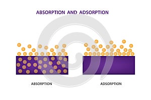 Image illustrates the difference between adsorption and absorption on a molecular surface