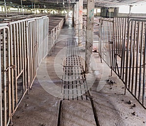 image of indoor dirty pig farm with paddock.