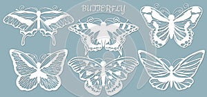 Image with the inscription-butterfly. Set. Butterfly template for laser cutting, plotter and scrapbooking. Production, design and