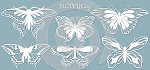 Image with the inscription-butterfly. Set. Template with vector illustration of butterflies. For laser cutting, plotter and