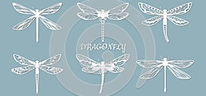 Image with the inscription-draconfly. Set. Template draconfly for laser cutting, plotter and scrapbooking. Production, design and