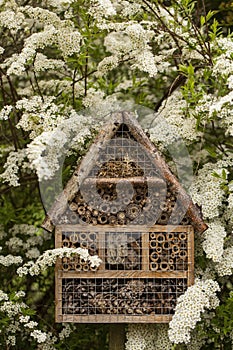 Image of Insect house - hotel in a garden