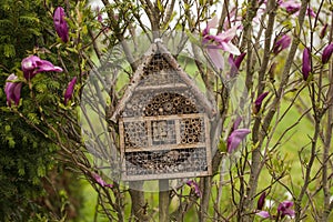 Image of Insect house - hotel in a garden