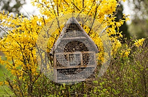 Image of Insect house - hotel in a spring garden