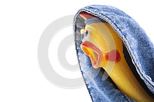 Image of jeans rubber chicken white background