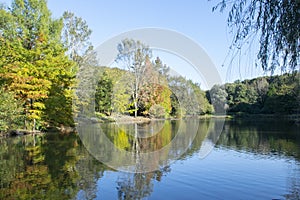 Image of the lake and swans on a background