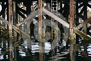Old Wooden Dock Pillars and Water Reflections