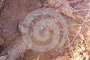 image of leakage water from broken and rusty pipe from the ground.