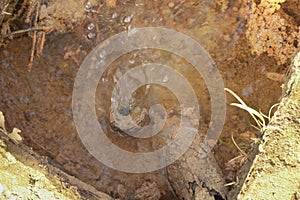 image of leakage water from broken and rusty pipe from the ground.