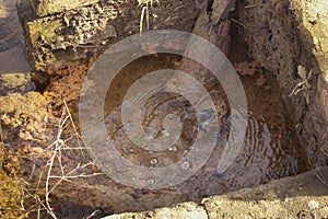 image of leakage water from broken and rusty pipe from the ground.