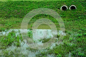 Image of Lose Canel in summer