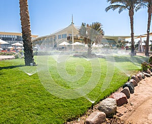 Image of lots of garden water sprinklers water beautiful green grass lawn and palm trees at summer beach hotel resort