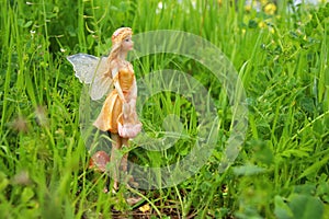 image of magical little fairy in the forest.