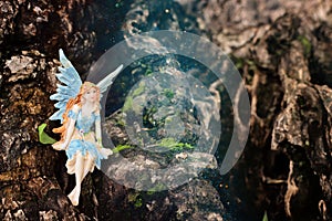 image of magical little fairy in the forest sitting on the tree