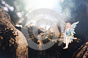 image of magical little fairy in the forest sitting on the tree