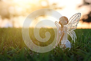 Image of magical little fairy in the forest at sunset.