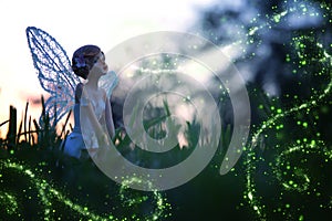 Image of magical little fairy in the forest at sunset.