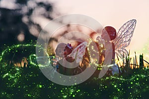 Image of magical little fairy in the forest at sunset.