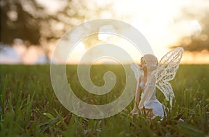 Image of magical little fairy in the forest at sunset.