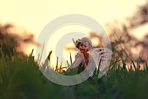 Image of magical little fairy in the forest at sunset.