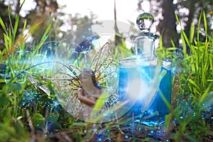 image of magical little fairy sitting in the forest.