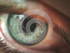 Image of man`s blue eye close up. Very close up, soft focus