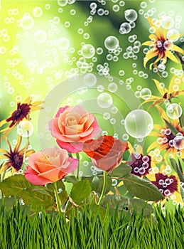 Image of many flowers in the grass against the sky background closeup