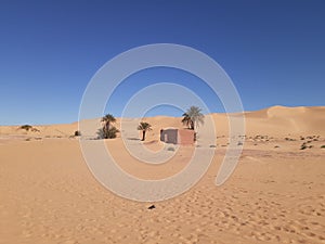 The image of me is a desert oasis by a palm and golden squares, a terrible desert area also