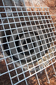 Image of metal grid in Afaia Temple photo