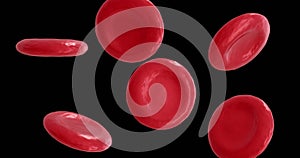 Image of micro of red blood cells on black background