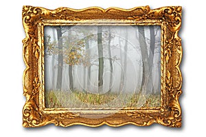 Image with misty forest on ancient picture frame