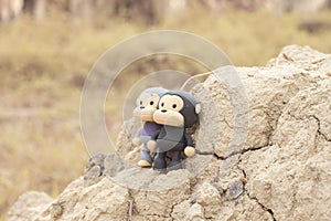 image of the monkey toys on the dried plateau hill