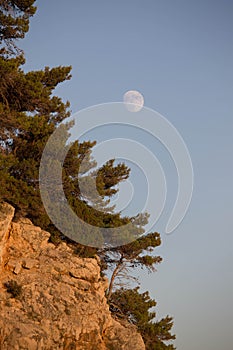 Image of moon in daylight
