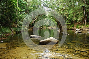 Image of Mossman River, Australia photo