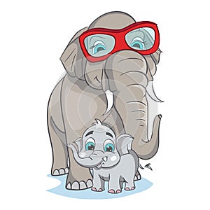 Image of mother elephant with baby elephant