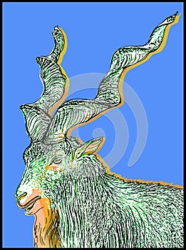 The image of a mountain goat on a blue background