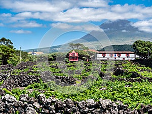 Image of mountain pico with houses and vineyard on the island of pico azores