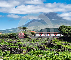 Image of mountain pico with houses and vineyard on the island of pico azores