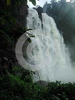 This image is natural waterfall sri lanka