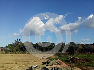 Image of nature landscape field, soil, palm tree with white clouds in the blue sky.