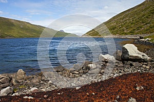 Image of nature and landscapes along the coast of iceland