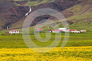 Image of nature and landscapes of iceland
