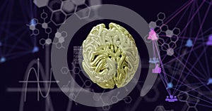 Image of network of connections over digital brain and data processing