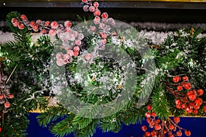 Image of New Year branch of fir tree with red berries, snow