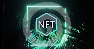 Image of nft symbol and square in blue neon, over palm leaves on black background photo