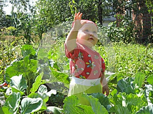 The kid in cabbage photo